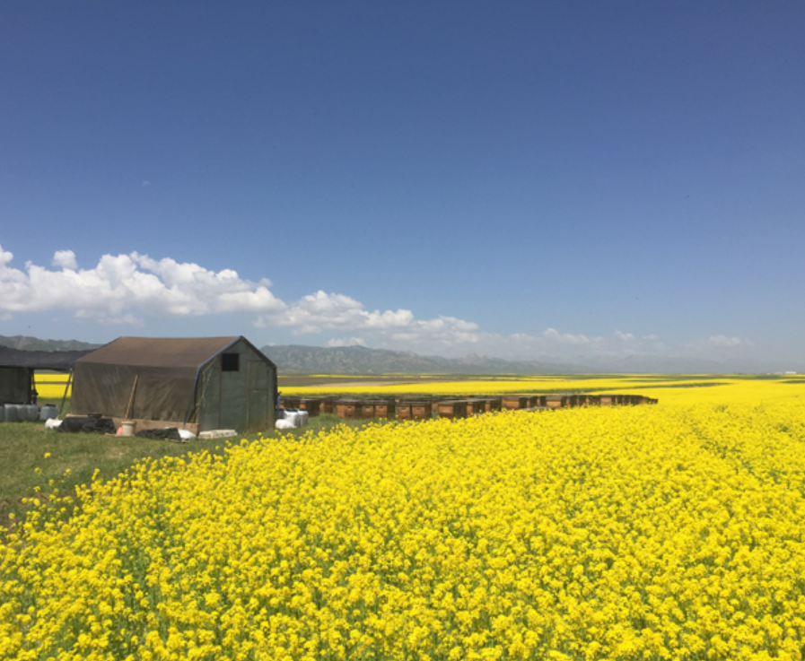 1672902313577415.png image.png