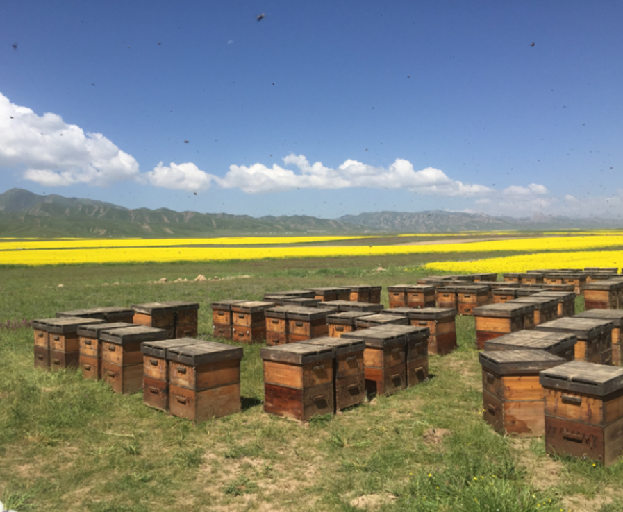 1672902332737505.png image.png