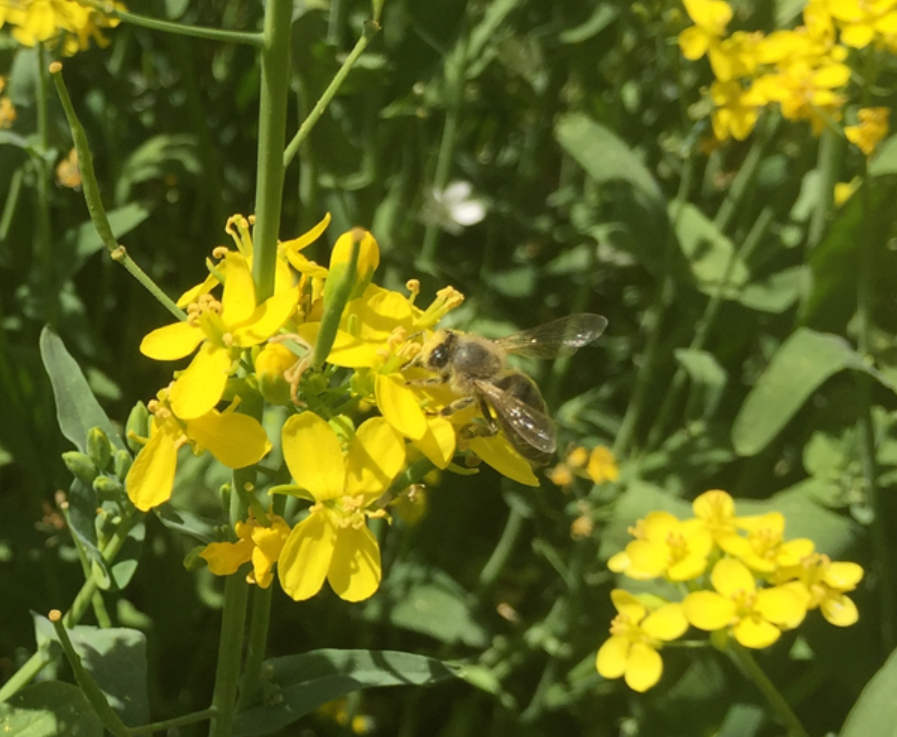 1672902346773533.png image.png