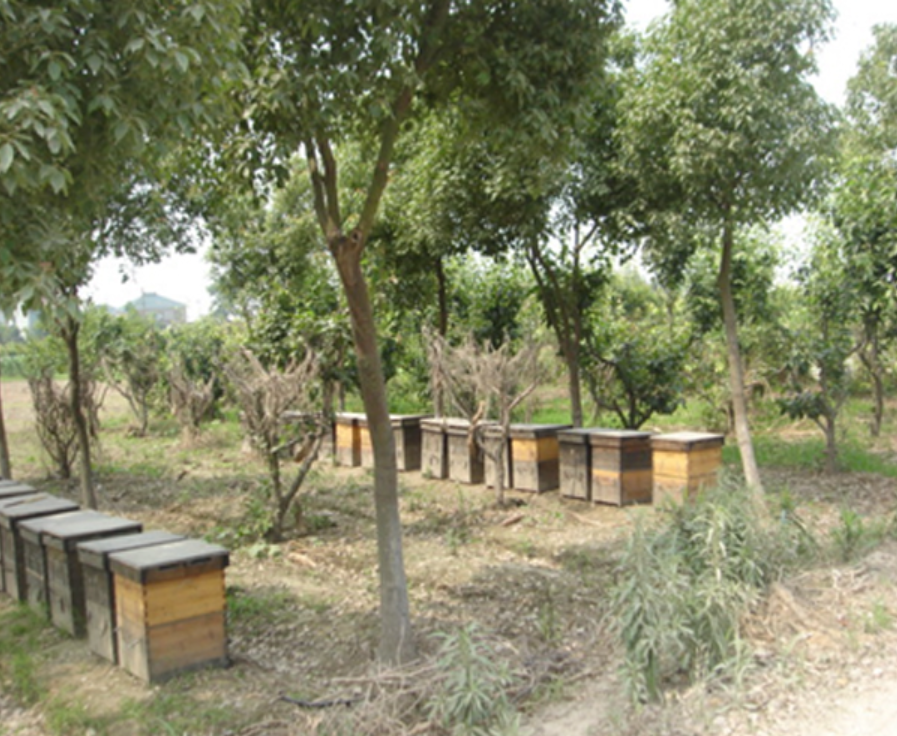 1672902504687207.png image.png