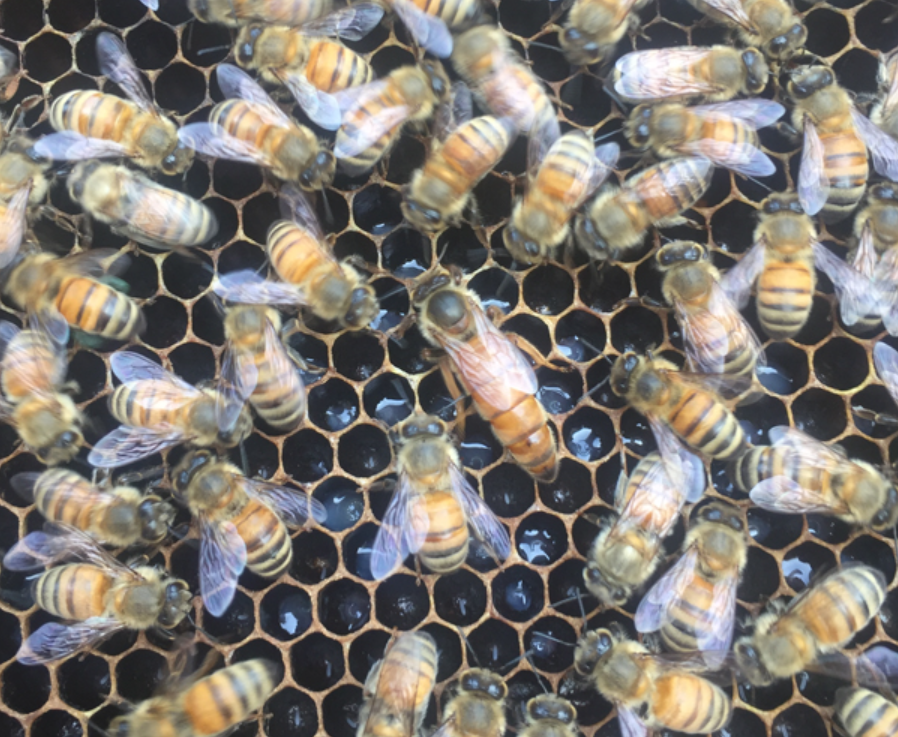 1672902537664085.png image.png