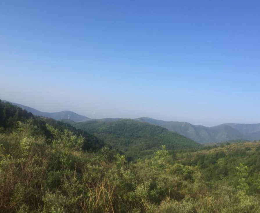 1672902557236039.png image.png