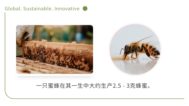 1747102524111599.png show_621633273_1747102240944_slice_0.png