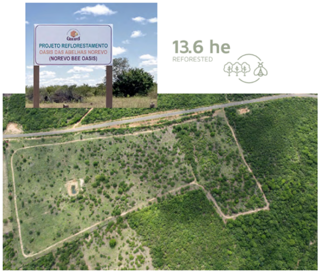 1747102643851097.png 图片1.png