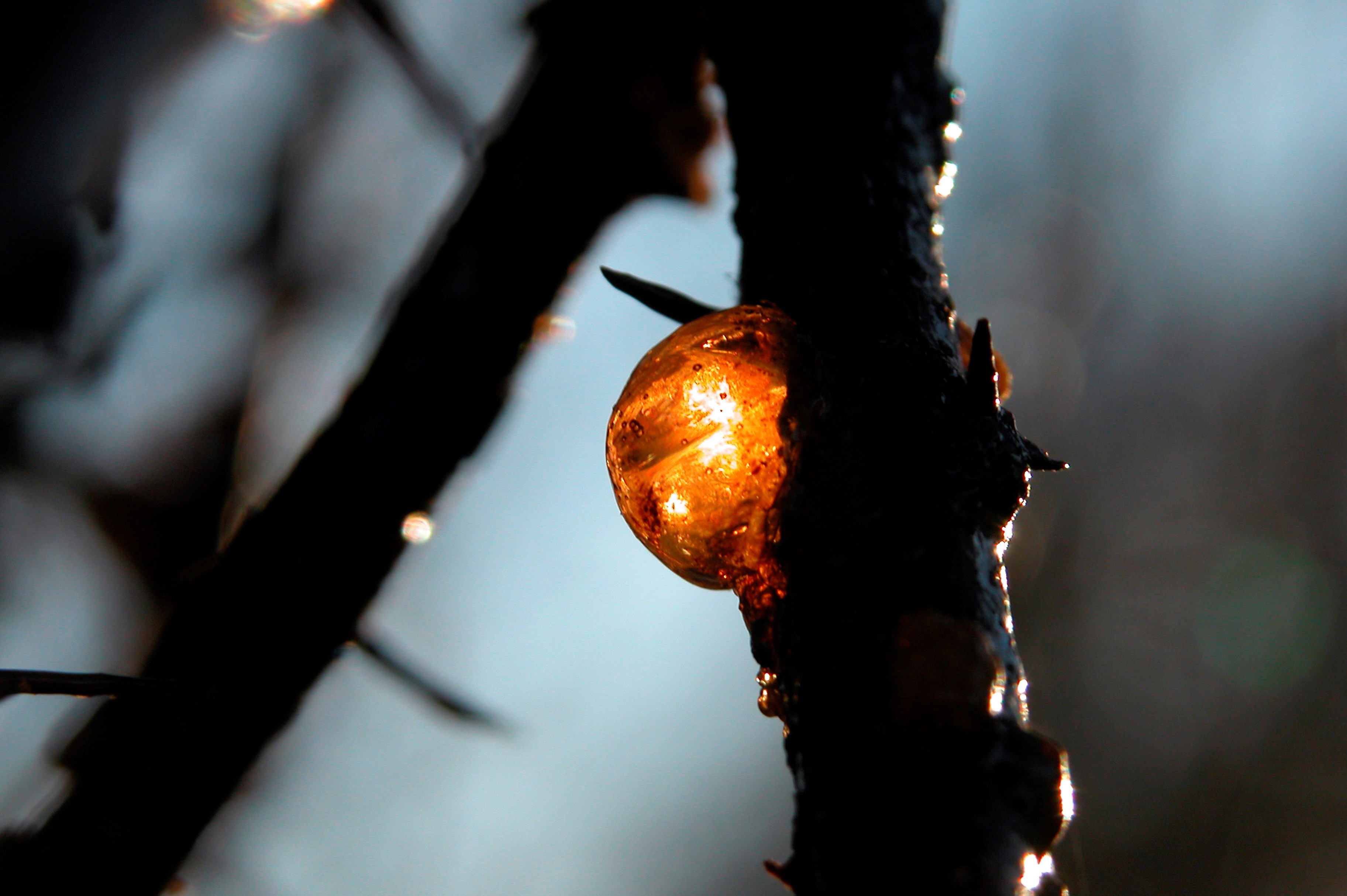 1762506408205899.jpg 1762506408205899.jpg