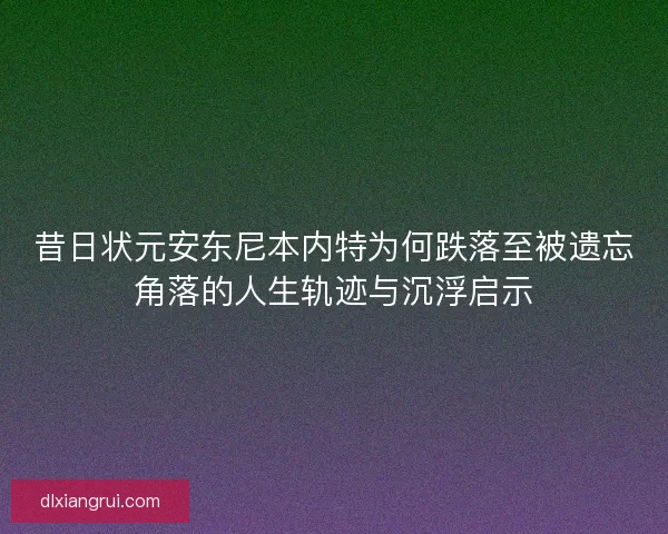 昔日状元安东尼本内特为何跌落至被遗忘角落的人生轨迹与沉浮启示